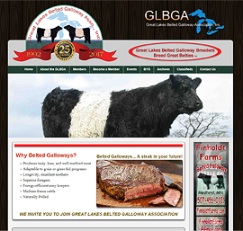 Great Lakes Belted Galloway Association (GLBGA)